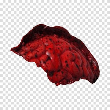 Halloween app Zombie Camera, piercing_ transparent background PNG clipart