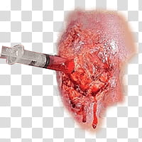 Halloween app Zombie Camera, piercing_ transparent background PNG clipart