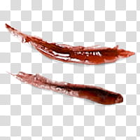 Halloween app Zombie Camera, scar_ transparent background PNG clipart