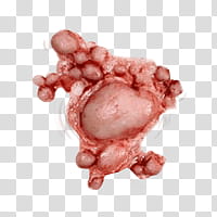 Halloween app Zombie Camera, scar_ transparent background PNG clipart