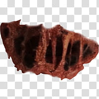 Halloween app Zombie Camera, scar_ transparent background PNG clipart