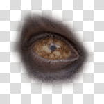 Halloween app Zombie Camera, thumb_eye_ transparent background PNG clipart