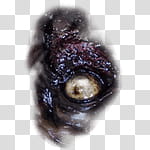 Halloween app Zombie Camera, thumb_eye_ transparent background PNG clipart