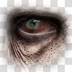 Halloween app Zombie Camera, thumb_eye_ transparent background PNG clipart