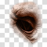 Halloween app Zombie Camera, thumb_eye_ transparent background PNG clipart