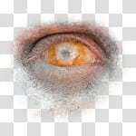 Halloween app Zombie Camera, thumb_eye_ transparent background PNG clipart