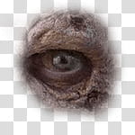 Halloween app Zombie Camera, thumb_eye_ transparent background PNG clipart