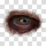 Halloween app Zombie Camera, thumb_eye_ transparent background PNG clipart