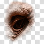Halloween app Zombie Camera, thumb_eye_ transparent background PNG clipart