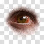 Halloween app Zombie Camera, thumb_eye_ transparent background PNG clipart