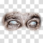 Halloween app Zombie Camera, thumb_eye_ transparent background PNG clipart