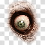 Halloween app Zombie Camera, thumb_eye_ transparent background PNG clipart