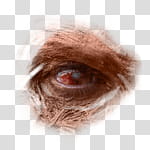 Halloween app Zombie Camera, thumb_eye_ transparent background PNG clipart