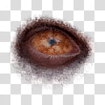 Halloween app Zombie Camera, thumb_eye_ transparent background PNG clipart