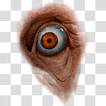 Halloween app Zombie Camera, thumb_eye_ transparent background PNG clipart