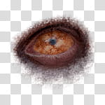Halloween app Zombie Camera, thumb_eye_ transparent background PNG clipart
