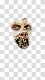 Halloween app Zombie Camera, thumb_face_ transparent background PNG clipart