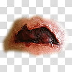 Halloween app Zombie Camera, thumb_mouth_ transparent background PNG clipart