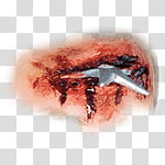 Halloween app Zombie Camera, thumb_piercing_ transparent background PNG clipart