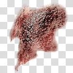 Halloween app Zombie Camera, thumb_scar_ transparent background PNG clipart