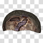 Halloween app Zombie Camera, thumb_scar_ transparent background PNG clipart