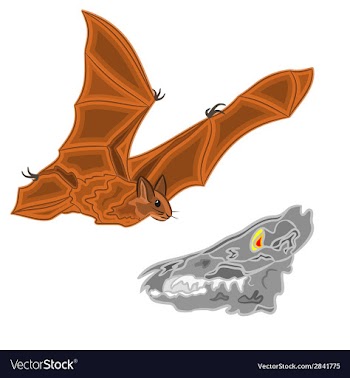 Halloween bat and skull vector image