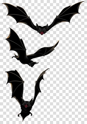 Halloween bats fly transparent background PNG clipart