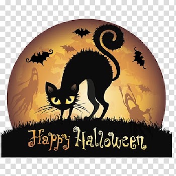 Halloween Black cat , cobweb cartoon transparent background PNG clipart