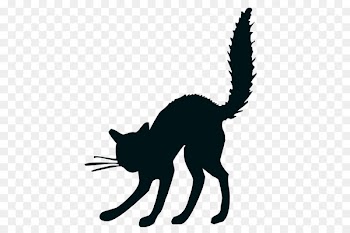 Halloween Black cat Drawing Das wilde Buch - Halloween 