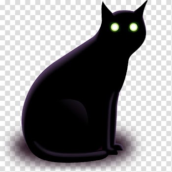 Halloween, black cat illustration transparent background PNG clipart