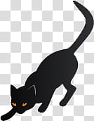 Halloween, black cat illustration transparent background PNG clipart