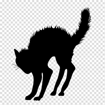 Halloween Black Cat Transparent Image