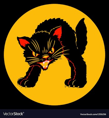 Halloween black cat vector image