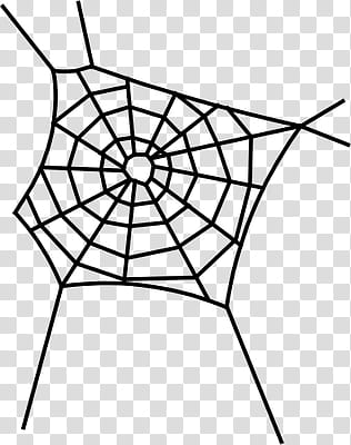 Halloween , black spider web transparent background PNG clipart