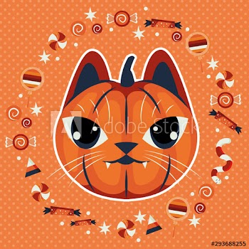 halloween cat disguised of pumpkin character