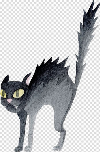 Halloween cat element transparent background PNG clipart