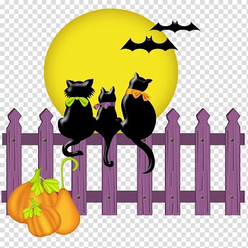 Halloween Cat Jack-o'-lantern , cartoon halloween transparent background PNG clipart