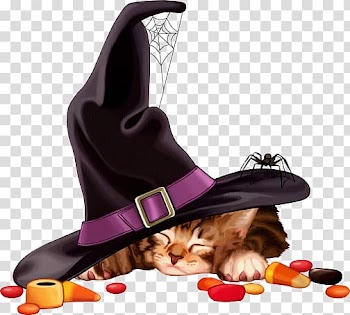 Halloween cat meng meng da transparent background PNG clipart