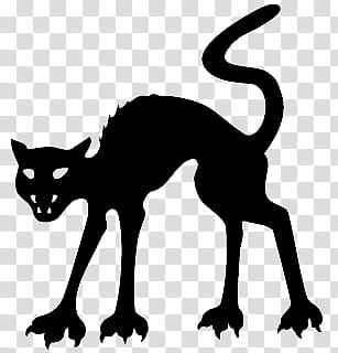 Halloween, cat transparent background PNG clipart