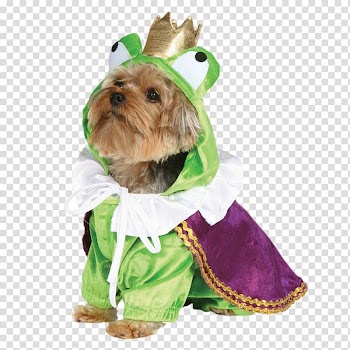 Halloween costume Clothing Dachshund, Halloween transparent background PNG clipart