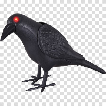 Halloween Crow Download Transparent PNG Image