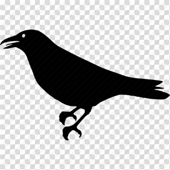 Halloween Crow PNG Pic