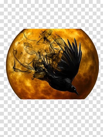 Halloween crow transparent background PNG clipart