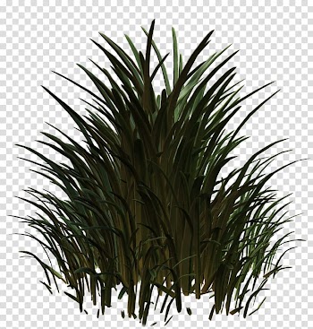 Halloween , Dark green grass transparent background PNG clipart