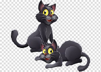 Halloween elements transparent background PNG clipart
