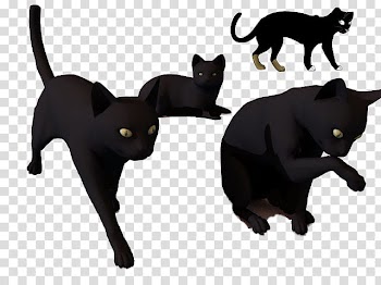 Halloween, four black cats illustration transparent background PNG clipart