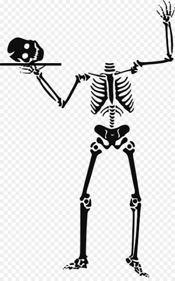 Halloween Human skeleton Clip art - Halloween Skeleton Clipart 