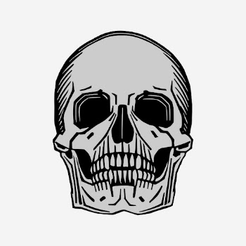 Halloween human skull hand drawn | Free Photo - rawpixel