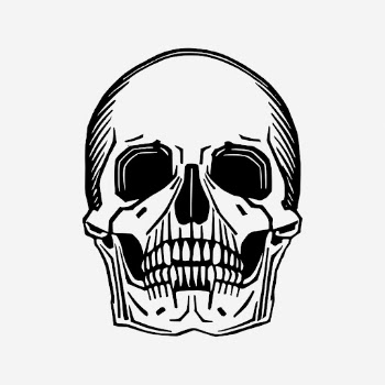 Halloween human skull hand drawn | Free Photo - rawpixel