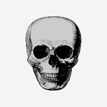 Halloween human skull hand drawn | Free Photo - rawpixel